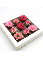 Пластиковая форма для конфет Горшок Кашпо МИНИ (11 ячеек)