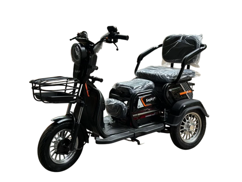 Электротрицикл Беркут