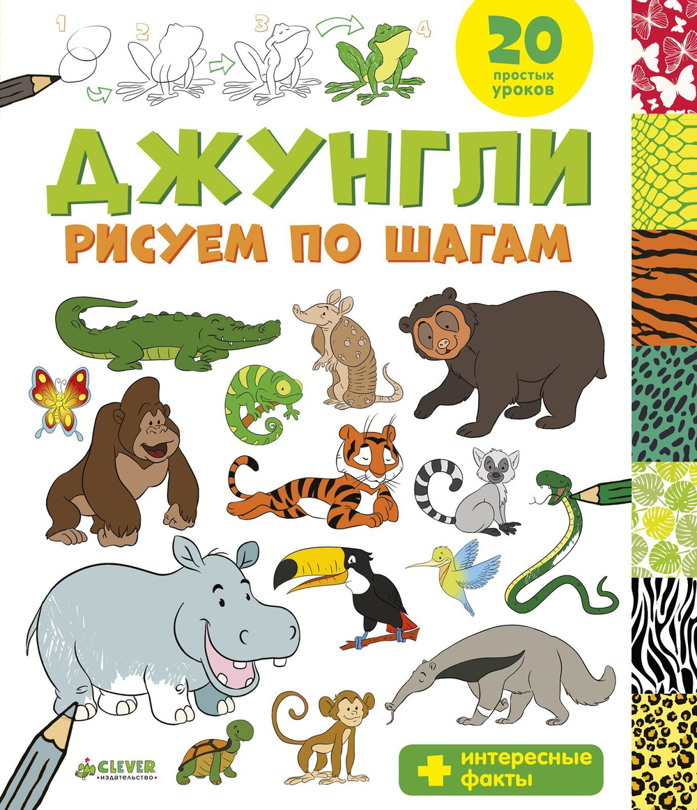 Джунгли. Рисуем по шагам