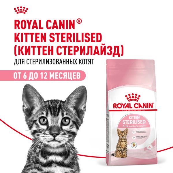 Сухой корм Royal Canin Kitten Sterilised для стерилизованных котят до 12 месяцев