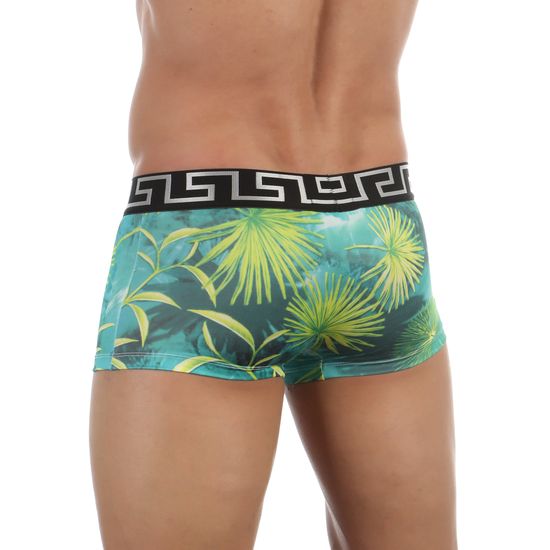 Мужские трусы боксеры изумрудные с принтом Versace