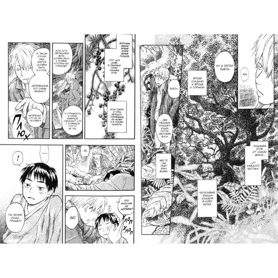 Знаток муси. Том 2