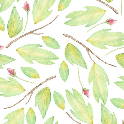 Весенняя зелень