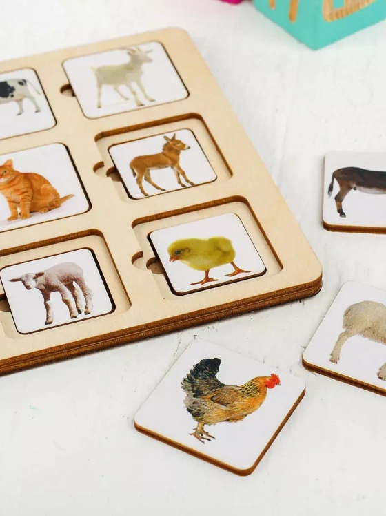 Дидактическая игра Секретики Ферма П202