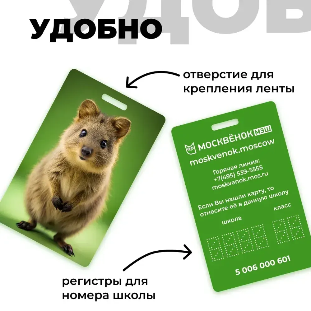 Карта Москвёнок ANIMALS №5 (проход + питание)