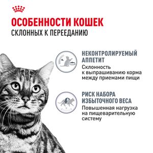 Пауч Royal Canin Appetite Control Care для взрослых кошек — для контроля выпрашивания корма, мелкие кусочки в желе