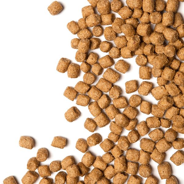 Уценка! Повр.Упак/Сухой корм ProBalance Adult Immuno Protection для кошек с курицей и индейкой