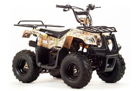 Квадроцикл MOTOLAND 110 Rider (2021 Г.)