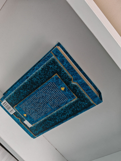 Темная сторона Луны