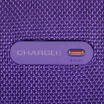 Портативная колонка JBL Charge 6 Фиолетовая
