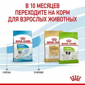 Уценка! Срок до 06.2024/ Корм для щенков миниатюрных пород Royal Canin X-Small Puppy