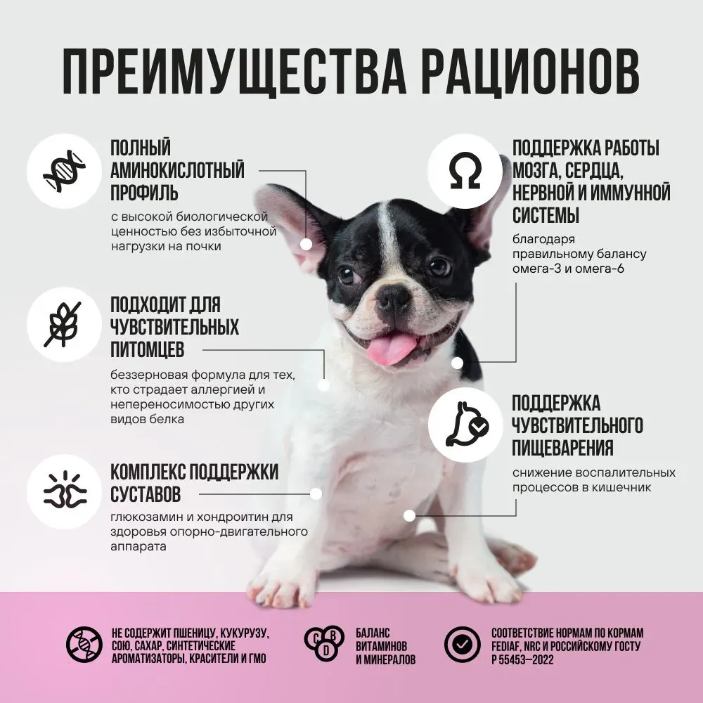 Консервы BOWL WOW для взрослых собак всех пород с индейкой и тыквой