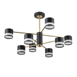 Потолочная люстра Lumion LANIKA 8240/8C