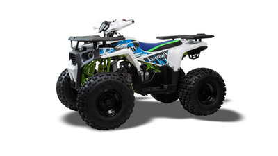 Квадроцикл MOTOLAND 125 SHARK