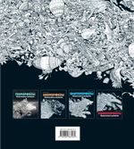 Метаморфозы. Экстремальные раскраски