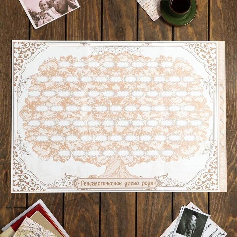 Родословная книга «Семейная летопись», перо, 50 листов, 22 х 31 см