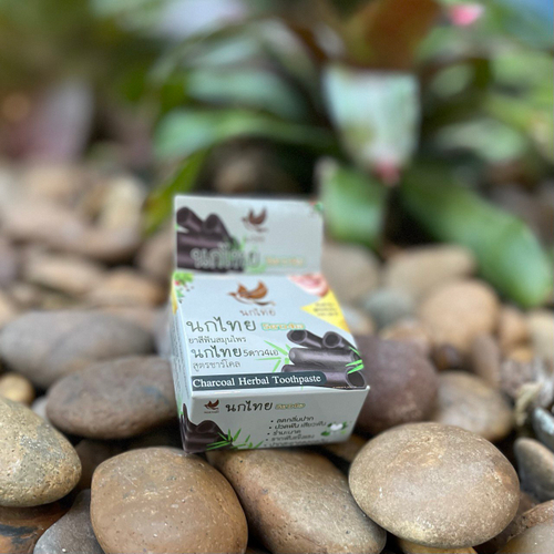 Концентрированная травяная зубная паста с бамбуковым углем Charcoal Herbal Toothpaste NokThai