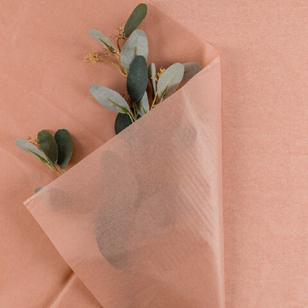 Бумага тишью "Нежность" 50*70см Миндальная (40л)