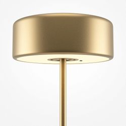 Настольная лампа декоративная Maytoni AI Collaboration MOD229TL-L3G3K2