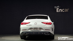 Mercedes-Benz CLS-Class C257 CLS300d AMG Line (06.2020)