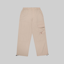 Брюки мужские Dickies Jackson Cargo Pant