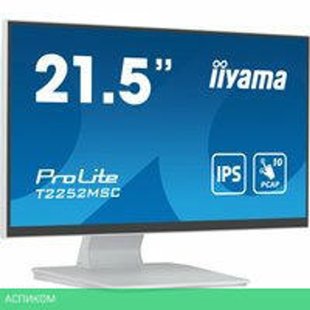 Монитор Iiyama ProLite T2252MSC-W2