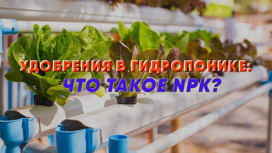 Удобрения в гидропонике: что такое NPK