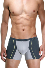 Серые трусы-боксеры Doreanse Supporters Boxer (Размер: XL) (Цвет: серый)