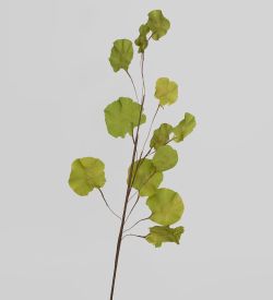 TRN 230 Цветной горошек