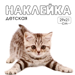 Интерьерная наклейка Котик с глазками 29х21см