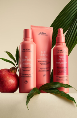 Aveda Nutriplenish Conditioner Light Moisture - легкий кондиционер питание и увлажнение /   1000  ml  / GTIN 018084014387