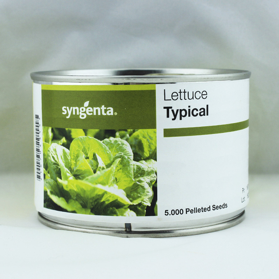 Типикал семена салата ромэн (Syngenta / Сингента) упаковка 5000 шт. – фото 2