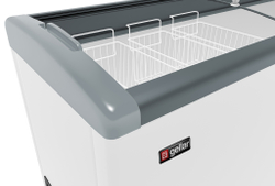 Морозильный ларь Frostor Gellar FG 250 E (серый)