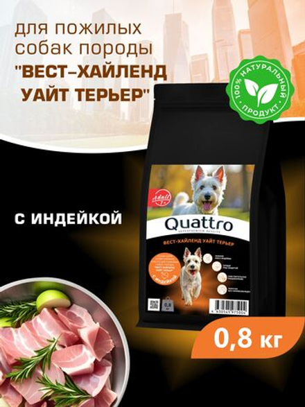 Корм сухой для пожилых собак породы Вест-хайленд уайт терьер старше 7 лет, с индейкой, 800 гр, QUATTRO