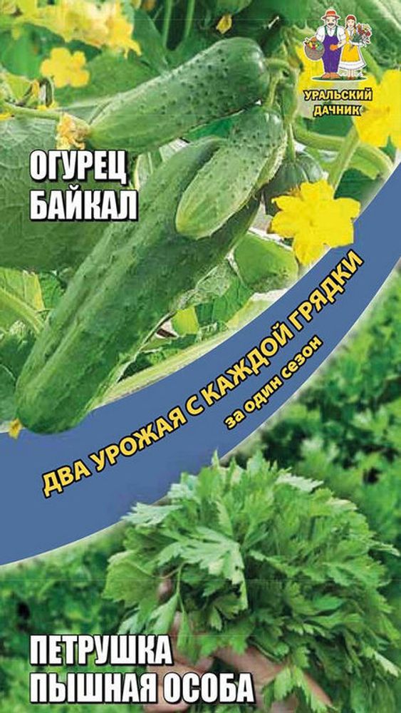 ДВА УРОЖАЯ!!! &quot;G. Огурец Байкал 10шт + Петрушка Пышная особа 1г&quot;, Россия.