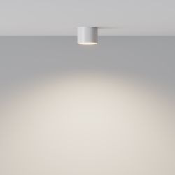 Потолочный светильник Maytoni Glam C096L-GX53-WBS