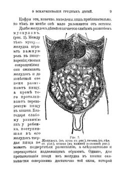 О вскармливании грудных детей | Монти Алоис