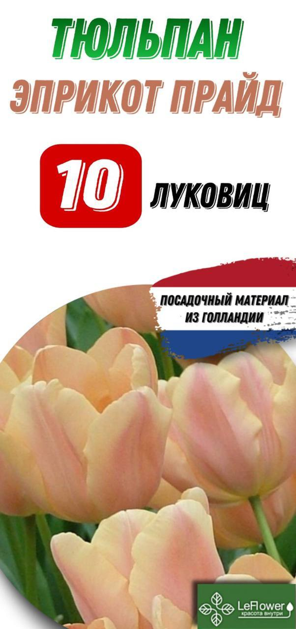 Тюльпан Луковица, Эприкот Прайд, 10шт