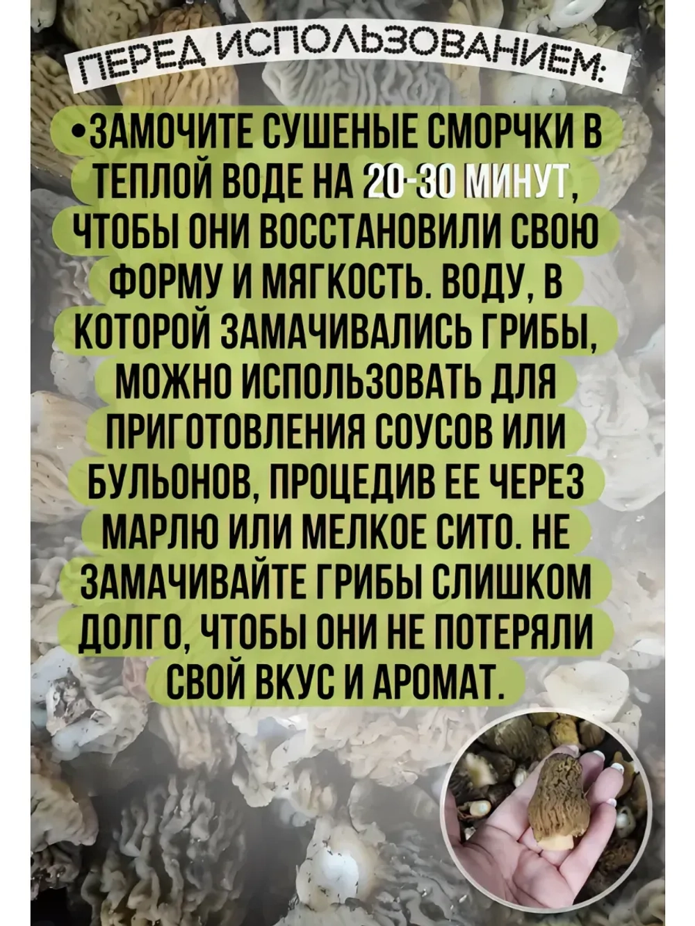 Сморчки