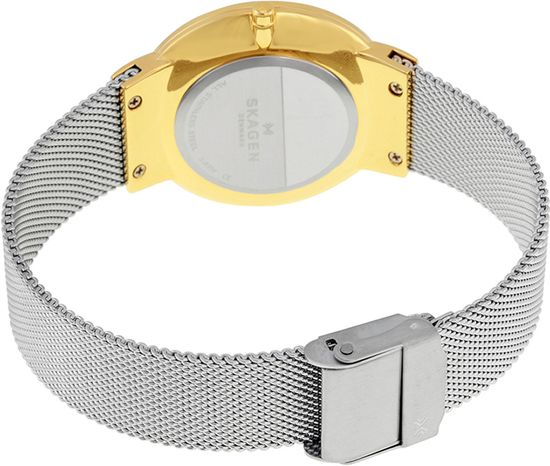 Женские часы Skagen SKW2381