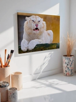 Картина на стену 40 X 50 Тигр белый