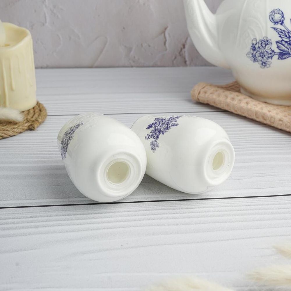 Набор для специй 2 предмета Солонка/Перечница d 5,1 см h7,3 см Sea Flower P.L. Proff Cuisine [1]