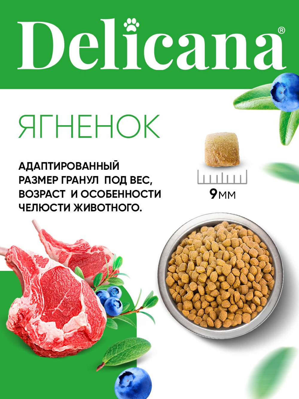 Сухой полнорационный корм для взрослых кошек с ягненком DELICANA 1,5кг