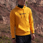 Худи THE NORTH FACE Logo, NF0A4UDK-56P