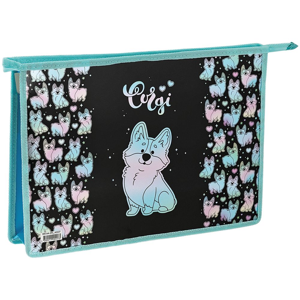 Папка для тетрадей 1 отделение А4 на молнии Спейс, пластик  Corgi