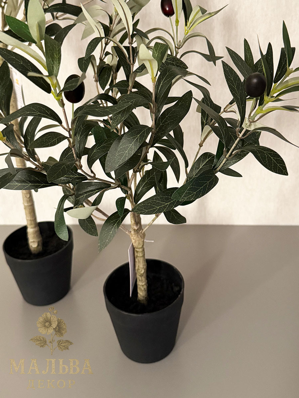 Олива в кашпо 15x15x50 см
