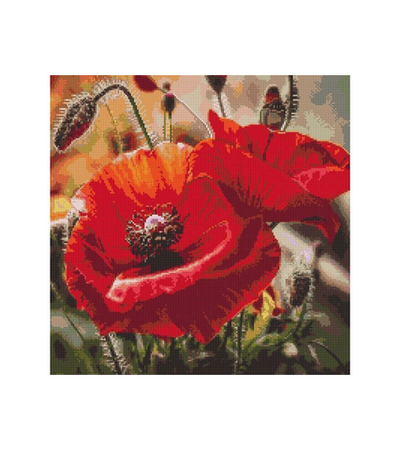 Картина мозаикой 30х30 МАКИ (квадрат) (22 цвета)