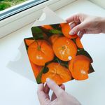 LFR0GYF Клеевая ловушка для мух «Уголок», 2 шт. Nadzor