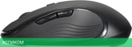 Мышь Acer OMR303 черный (ZL.MCECC.01Y)