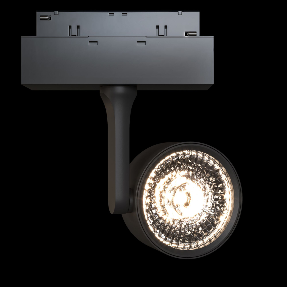 Трековый светильник Maytoni Technical TR024-2-10B3K